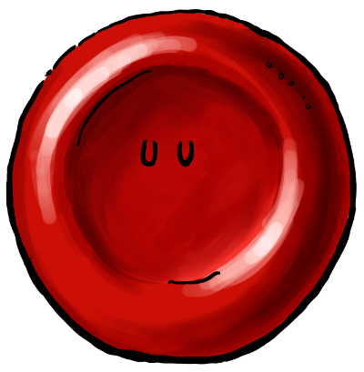 cartoon of an erythrocyte